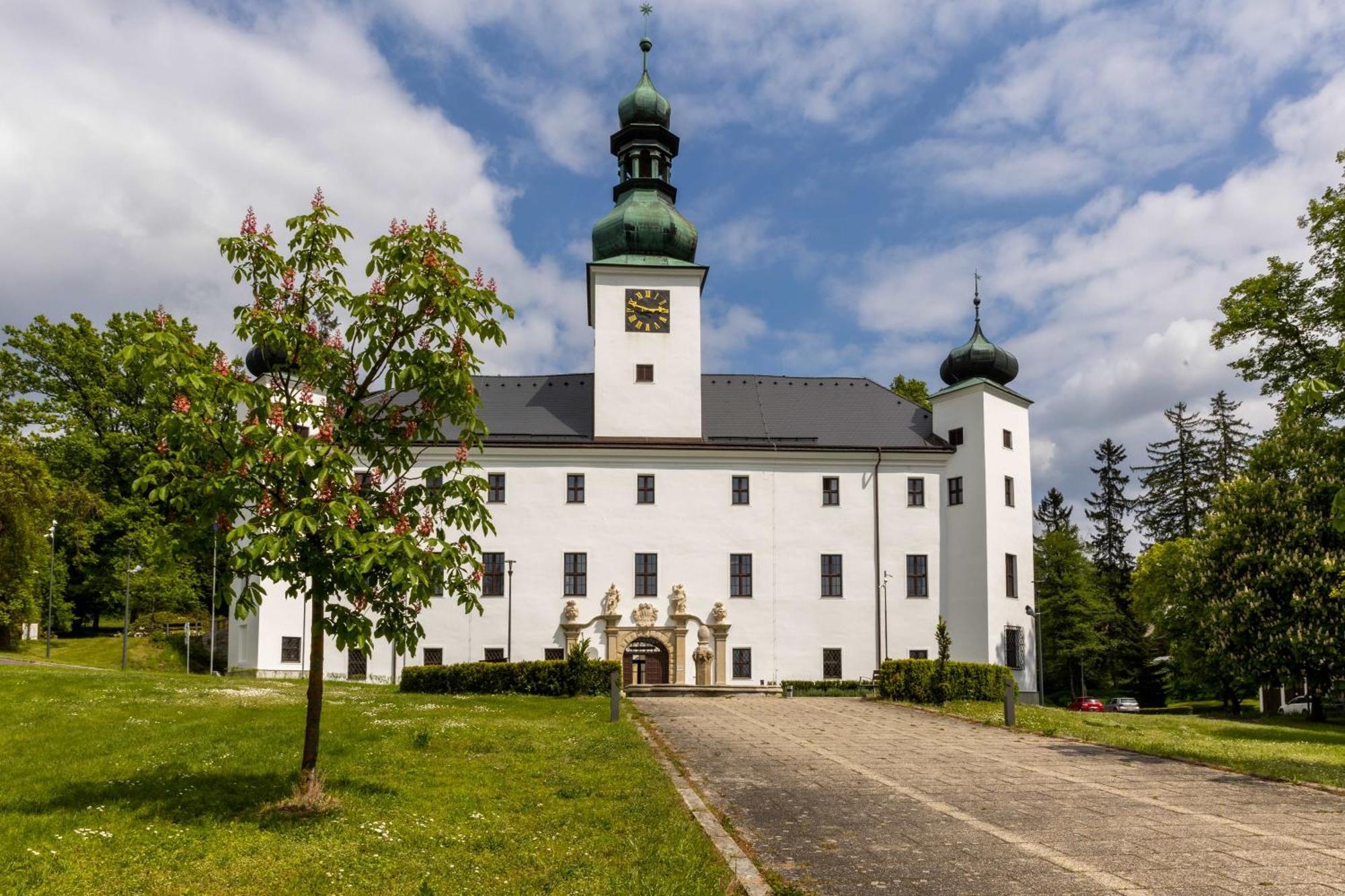 Hotel Zamek Třešť Exterior foto